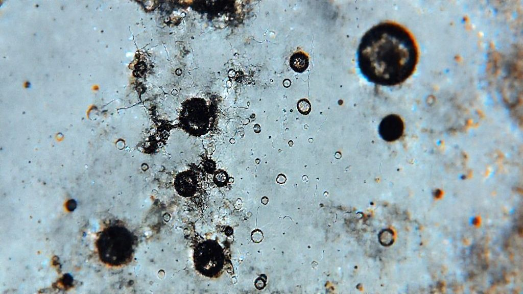 Microscopic view of a corroded or degraded anode coating