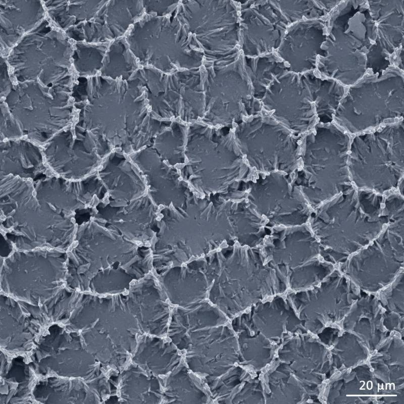 Titanium electrode surface