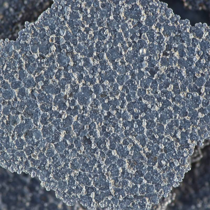 Microscopic view of titanium coating surface