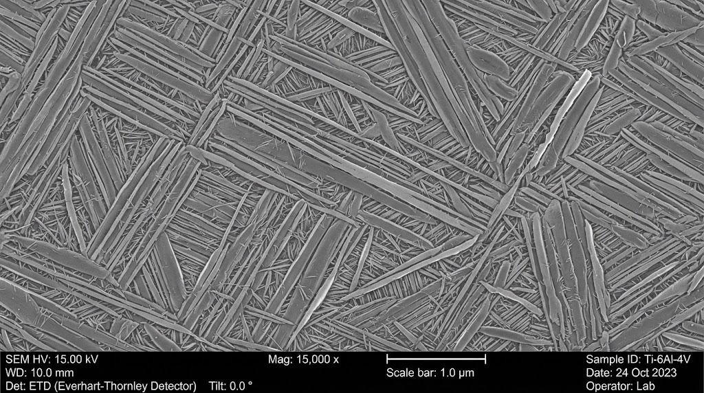 Microstructure titanium SEM