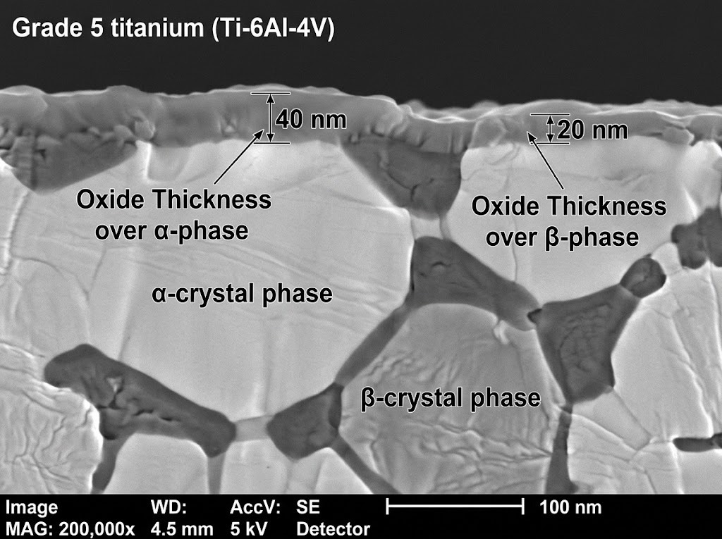 High magnification SEM cross-section micrograph of Grade 5 titanium showing differential oxide thickness across alpha and beta crystal phases